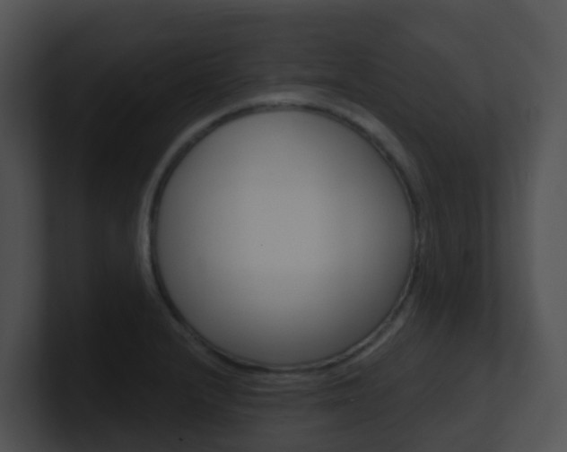 X0000100911232200806241044