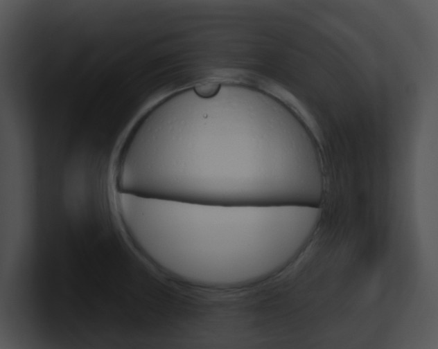 X0000100911235200806241044