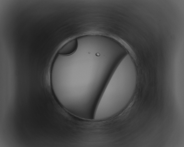 X0000100911238200806241044
