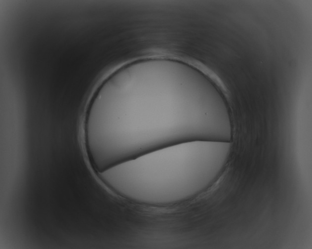 X0000100911239200806241044