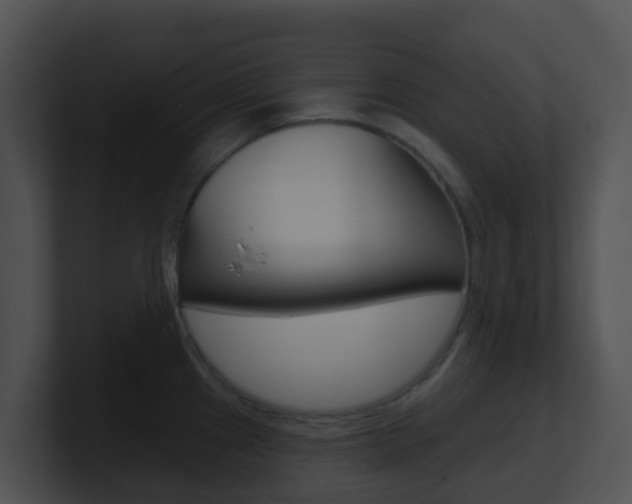 X0000100911241200806241044