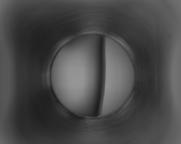 X0000100911242200806241044