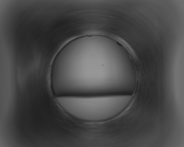 X0000100911244200806241044