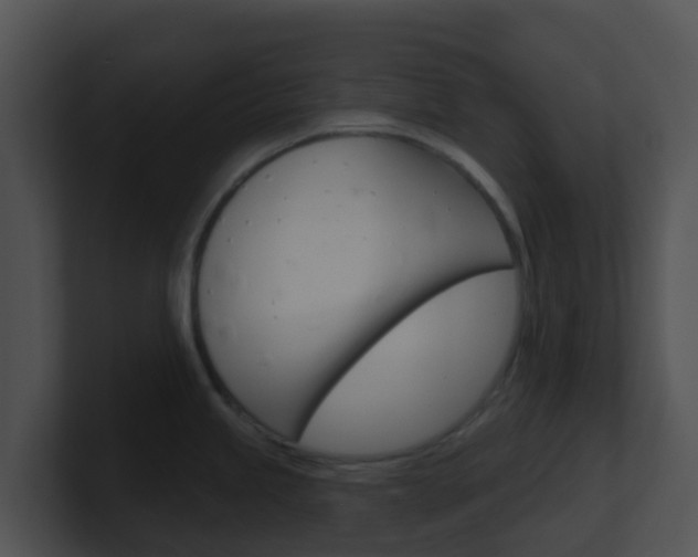 X0000100911245200806241044