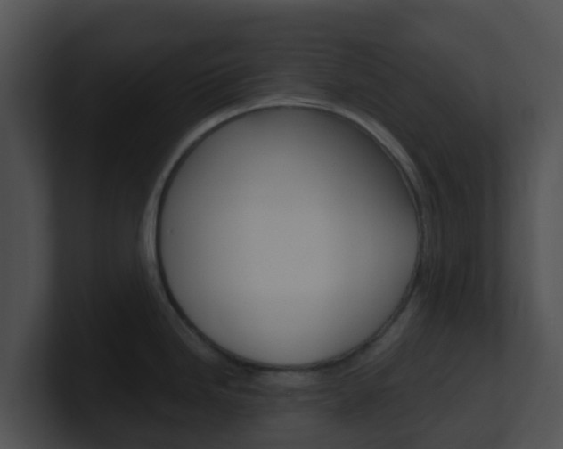 X0000100911246200806241044