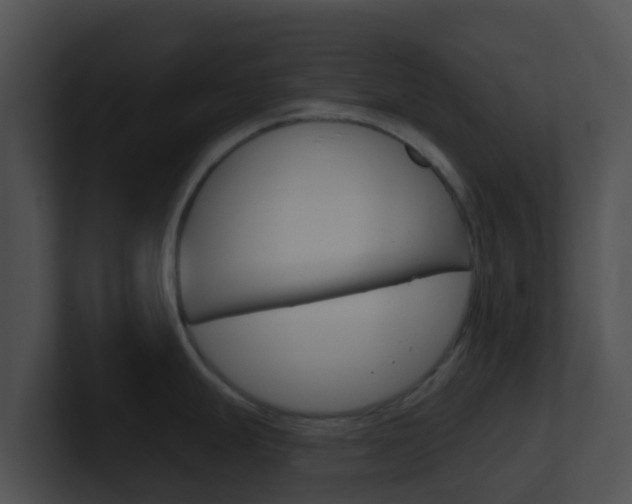 X0000100911247200806241044
