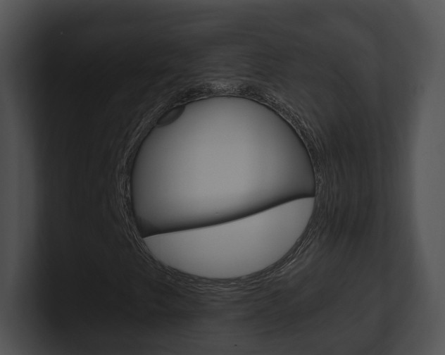 X0000100911249200806241044