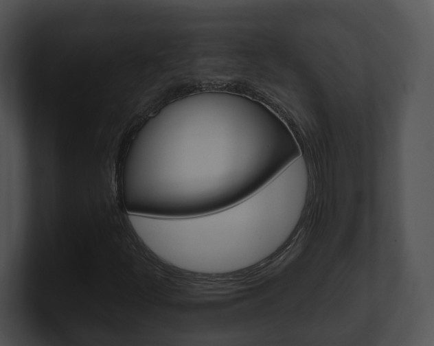 X0000100911252200806241044