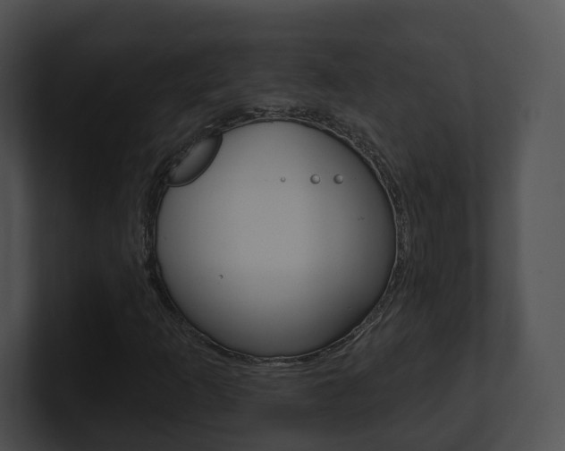 X0000100911253200806241044