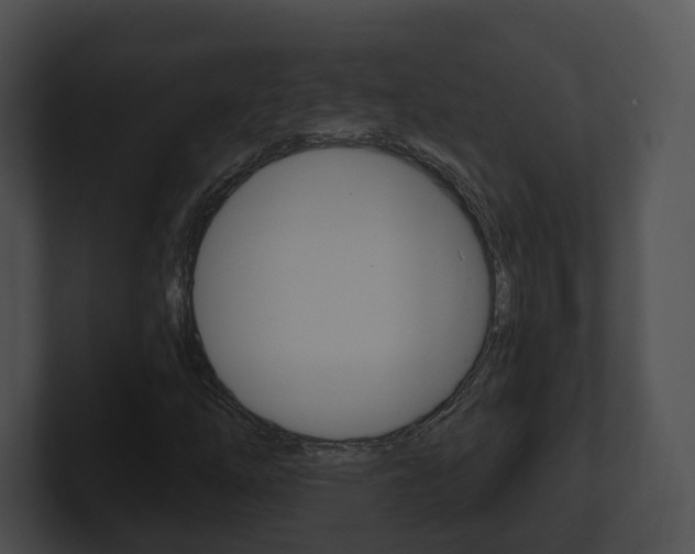 X0000100911254200806241044