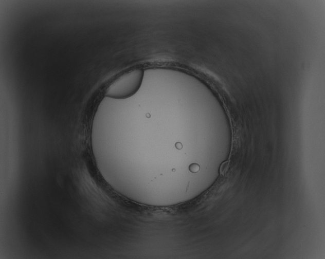 X0000100911255200806241044