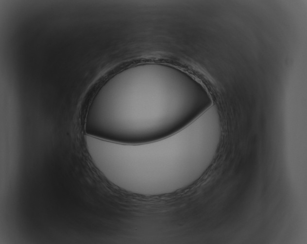 X0000100911256200806241044