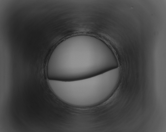 X0000100911257200806241044
