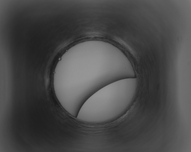 X0000100911261200806241044