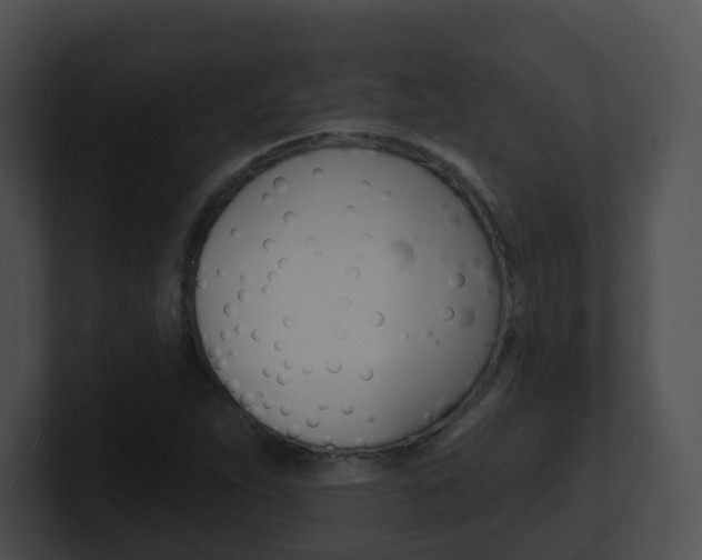 X0000100911263200806241044