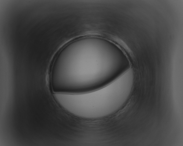 X0000100911268200806241043