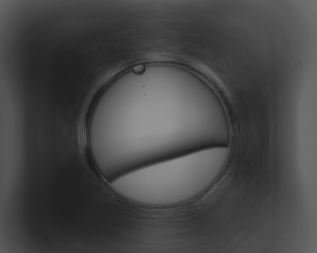 X0000100911269200806241043