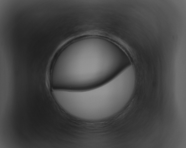 X0000100911272200806241043