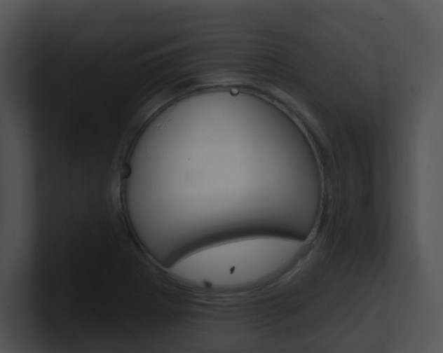 X0000100911273200806241043