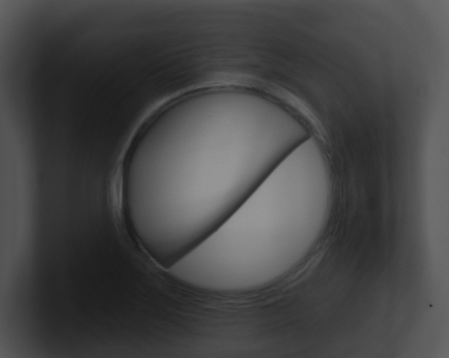 X0000100911275200806241043