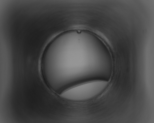 X0000100911277200806241043