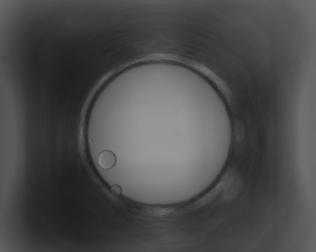 X0000100911278200806241043