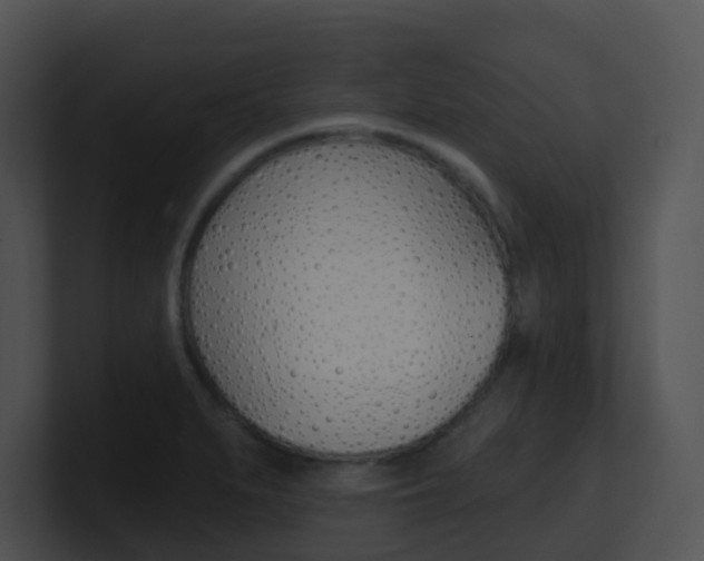X0000100911279200806241043