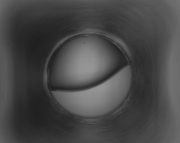 X0000100911280200806241043