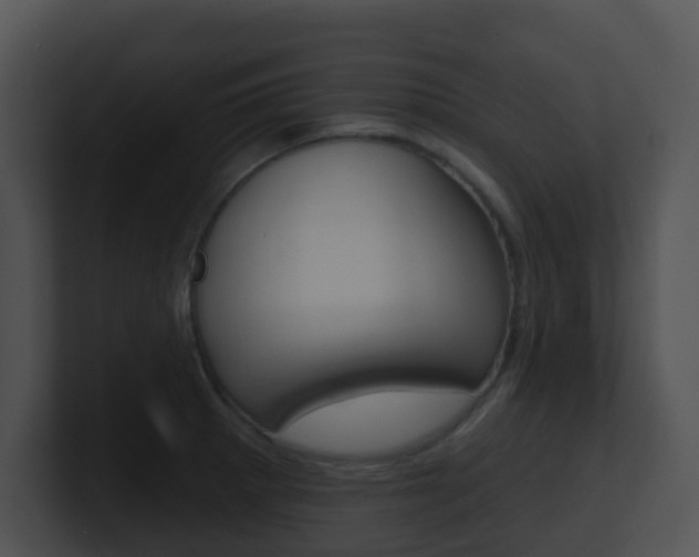 X0000100911281200806241043