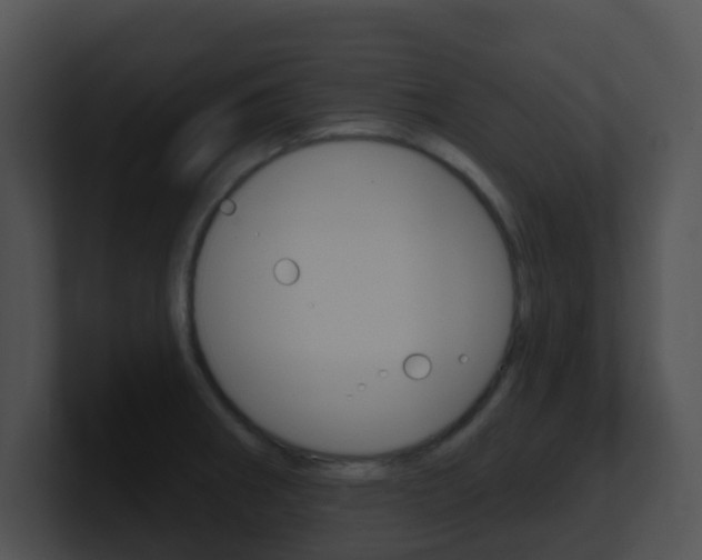 X0000100911282200806241043