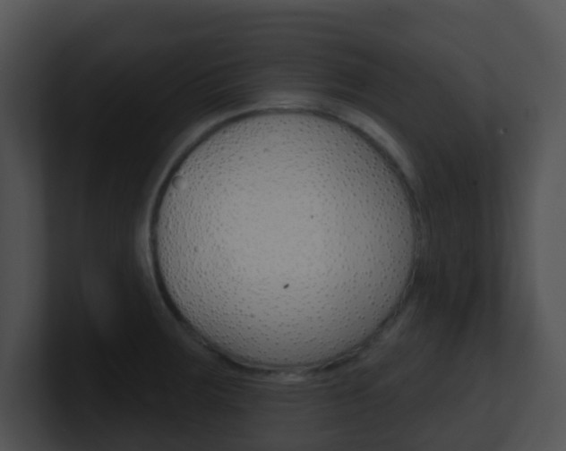 X0000100911283200806241043