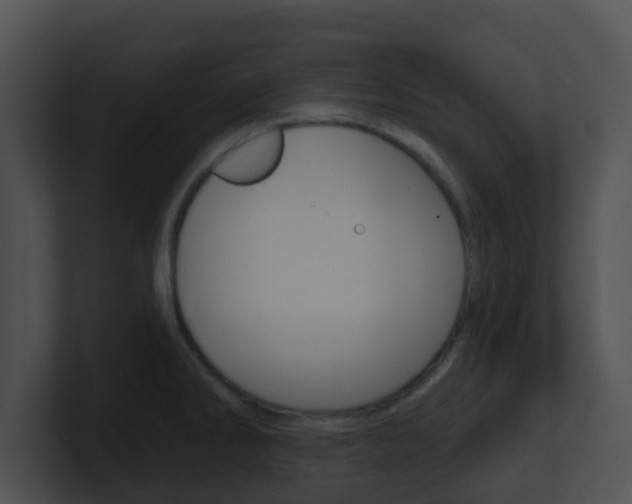 X0000100911286200806241043