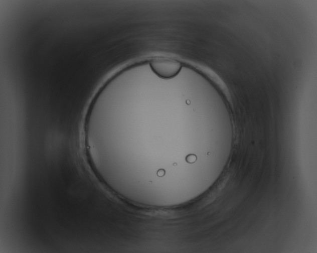 X0000100911287200806241043
