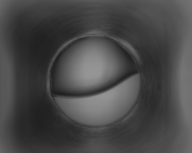 X0000100911288200806241043