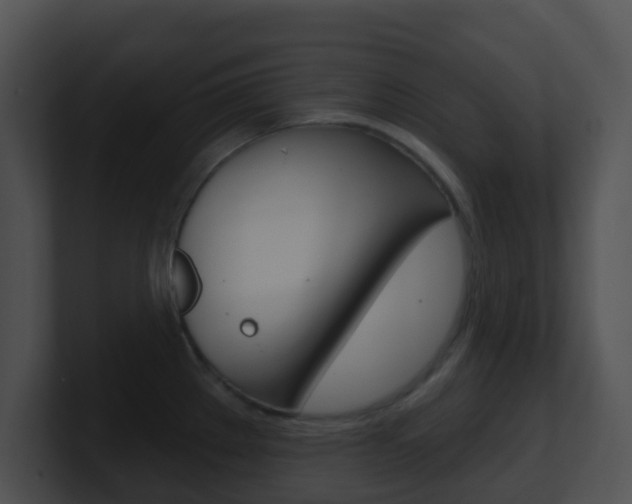 X0000100911289200806241043