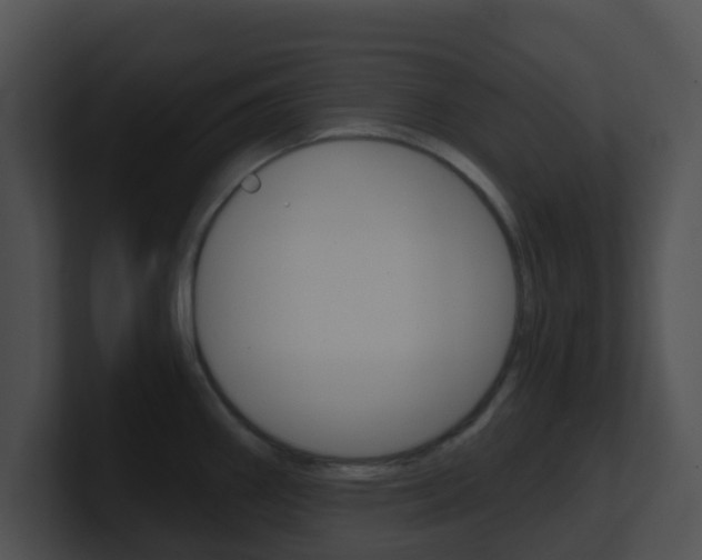 X0000100911290200806241043