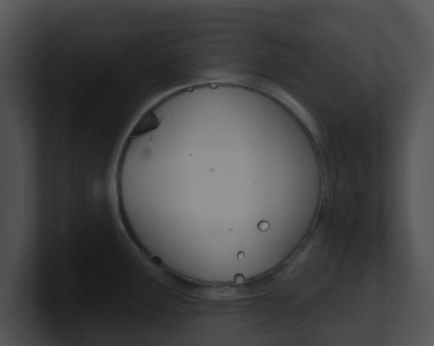 X0000100911291200806241043