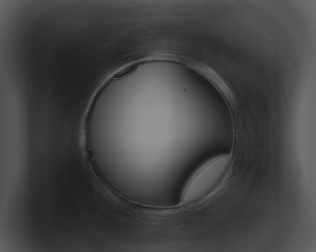 X0000100911292200806241043