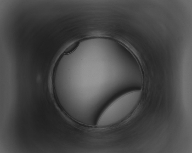 X0000100911293200806241043