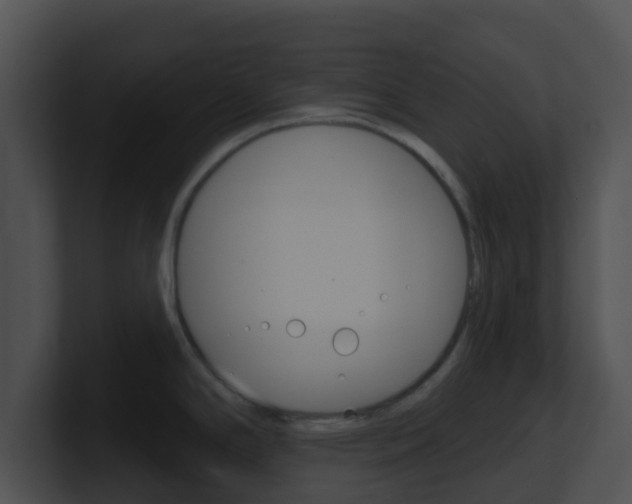 X0000100911294200806241043