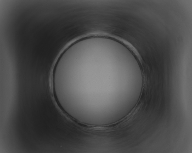 X0000100911295200806241043