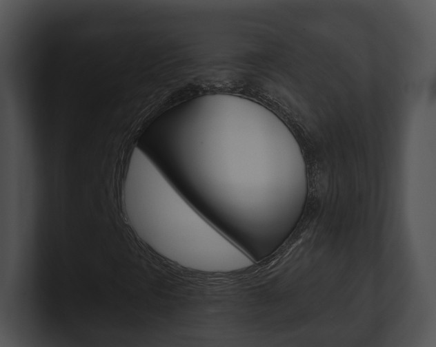 X0000100911297200806241042