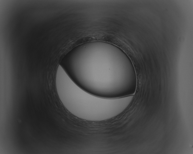 X0000100911298200806241042