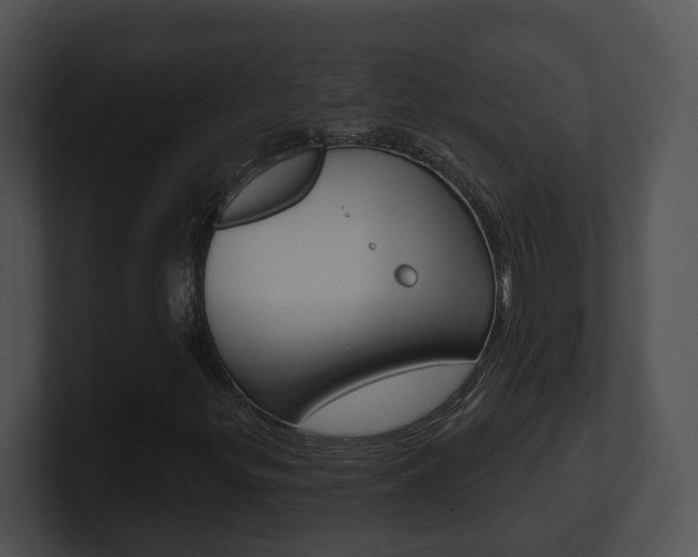 X0000100911299200806241042