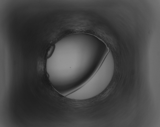 X0000100911300200806241042
