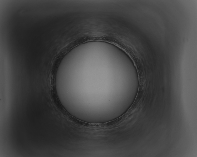 X0000100911301200806241042