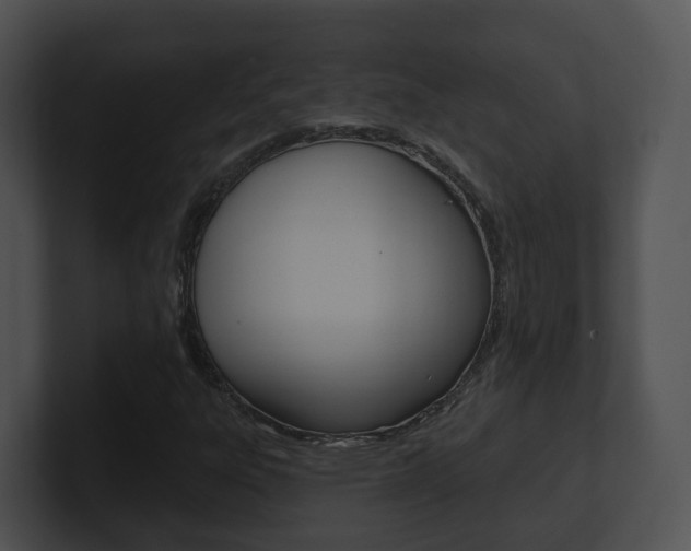 X0000100911303200806241043