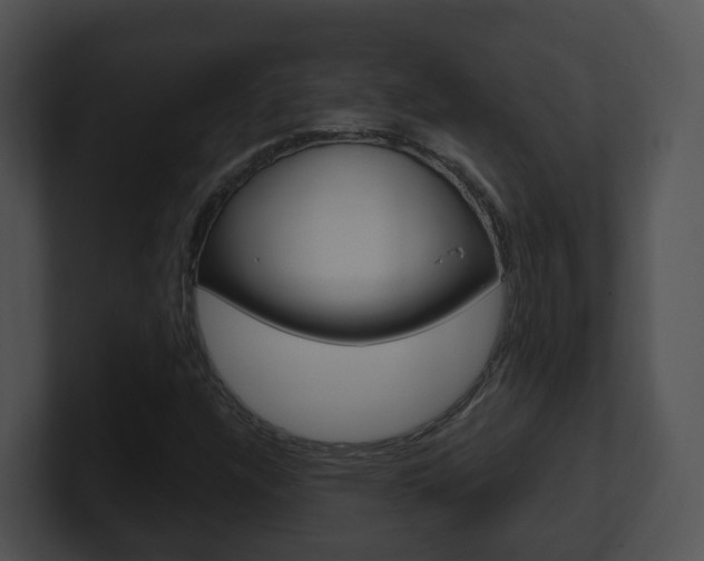 X0000100911304200806241043