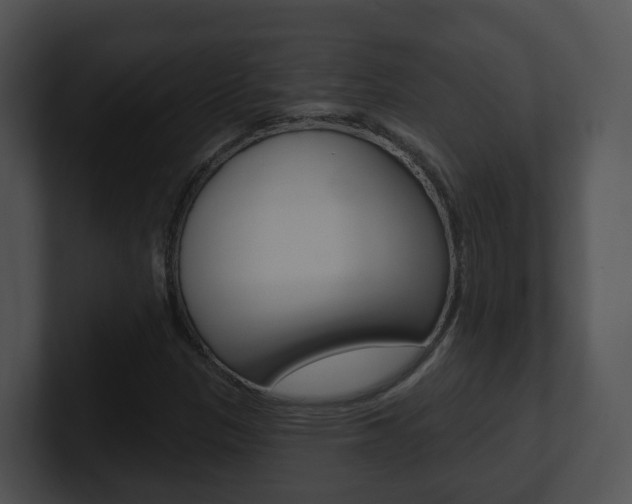 X0000100911305200806241043