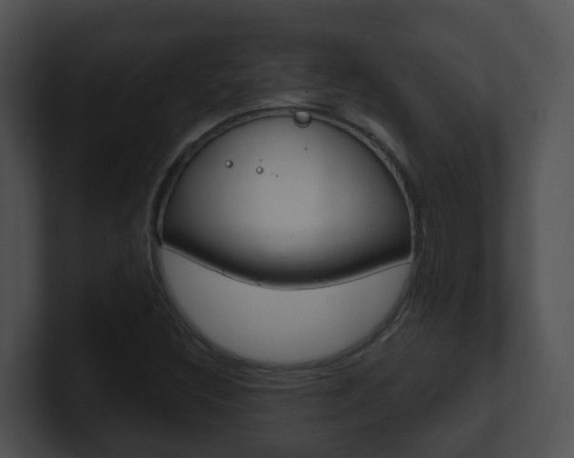X0000100911308200806241043